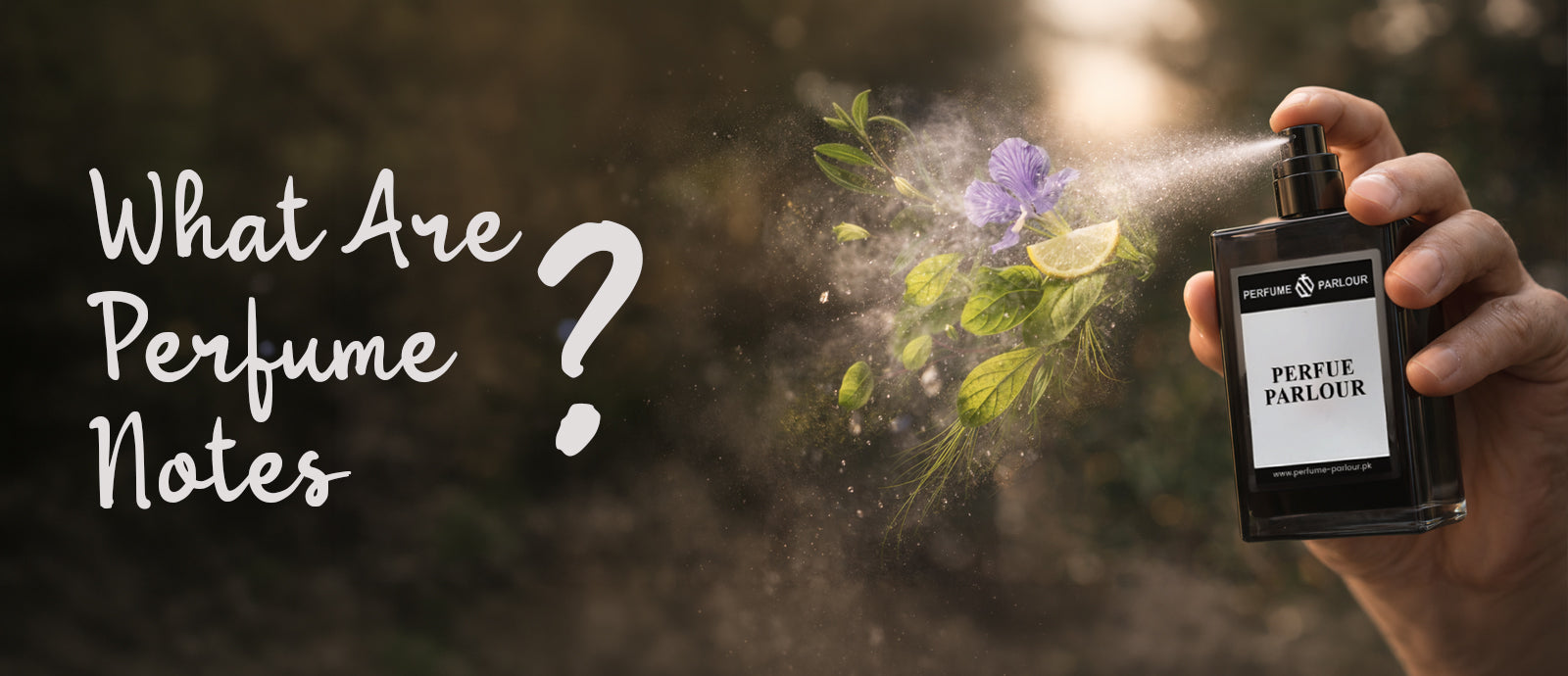 What Are Perfume Notes? A Complete Guide for Pakistani Fragrance Lovers