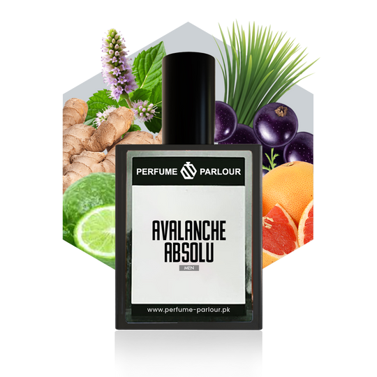 Avalanche Absolu
