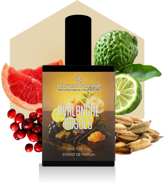 Avalanche Absolu
